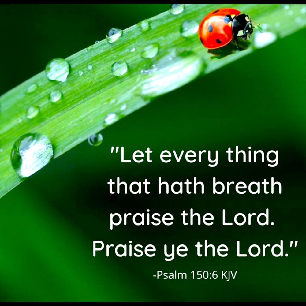 FAITH✨❤️✨HOPE✨❤️✨ LOVE✨❤️✨
